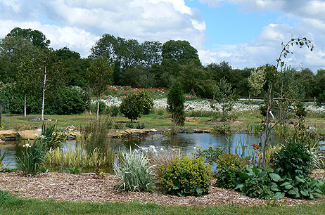 River Barn Garden Malmesbury