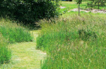 Arboretum1
