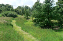 Arboretum2
