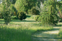 Arboretum4