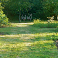 Arboretum6