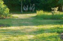 Arboretum6