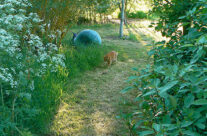 Arboretum7