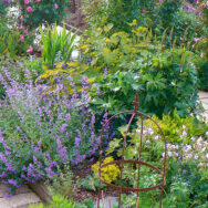 Courtyard3