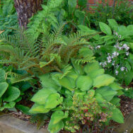 Courtyard6