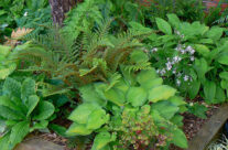 Courtyard6