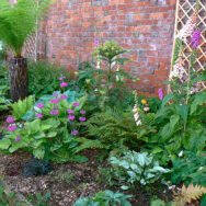 Courtyard7