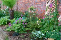 Courtyard7