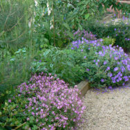 Courtyard8