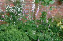 Courtyard9