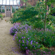 Courtyard10