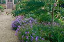 Courtyard10