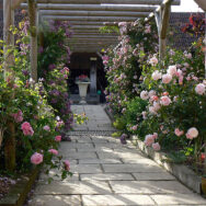 Courtyard13