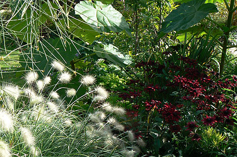 River Barn Garden Malmesbury