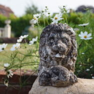 stone lion