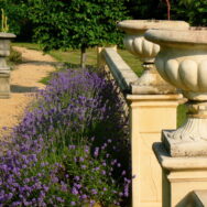 view from urns to cedar lawn